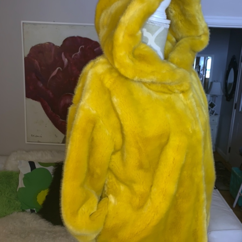 Brand new ZARA luxurious coat with hood